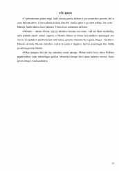 www.speros.lt
